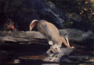  cerf Tableaux - Cerf Déchiré réalisme peintre Winslow Homer